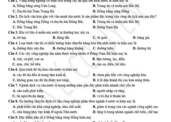 Đề thi cuối học kì 2 lớp 12 môn địa Nam Định 2025