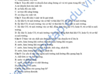 Đề ôn thi cuối HK2 khoa học tự nhiên lớp 7 đề số 1 có đáp án