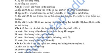 Đề ôn thi cuối HK2 khoa học tự nhiên lớp 7 đề số 1 có đáp án