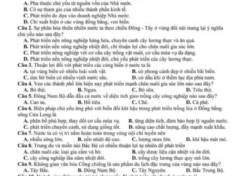 Đề thi thử tốt nghiệp môn địa lí Hải Phòng 2025 có đáp án