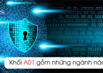 Khối A01 gồm những môn nào? Làm ngành gì tốt 2025
