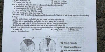 Đề thi địa lý thpt quốc gia 2025 có đáp án và file PDF