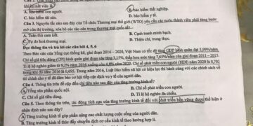 Đề thi giáo dục kinh tế pháp luật THPT quốc gia 2025