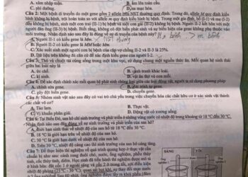 Đề thi tốt nghiệp môn sinh THPT quốc gia 2025 