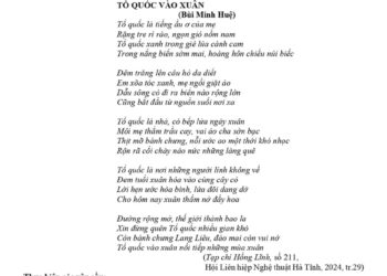 Đáp án Đề thi thử tốt nghiệp môn văn tỉnh Nam Định 2025 lần 2