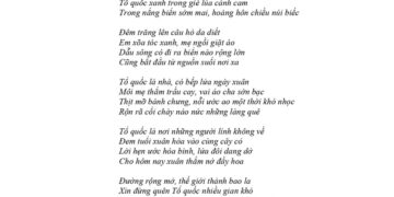 Đáp án Đề thi thử tốt nghiệp môn văn tỉnh Nam Định 2025 lần 2