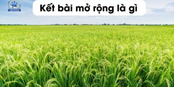 Kết bài mở rộng và kết bài không mở rộng là gì?