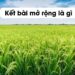 Kết bài mở rộng và kết bài không mở rộng là gì?