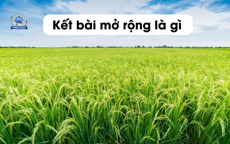 Kết bài mở rộng là gì? 