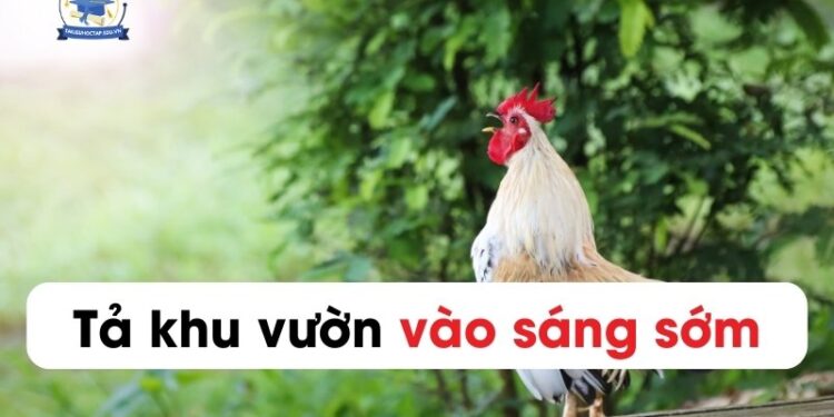 Tả về khu vườn nhà em ngắn nhất lớp 4, 5 (10 mẫu)
