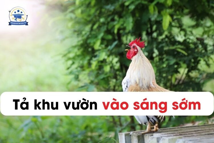 Tả về khu vườn nhà em ngắn nhất lớp 4, 5 (10 mẫu)