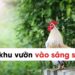 Tả về khu vườn nhà em ngắn nhất lớp 4, 5 (10 mẫu)