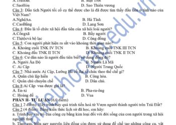 Đề thi giữa kì 1 lịch sử lớp 6 THCS Hồng An 2024