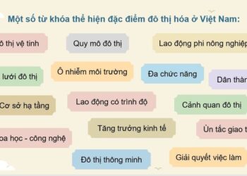 Lý thuyết địa lí lớp 12 bài 8: Đô Thị Hoá - Kết Nối Tri Thức