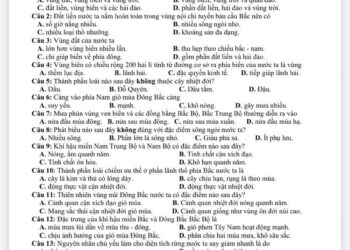 Đề thi địa lí lớp 12 giữa HK1 THPT Trần Phú 2025