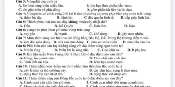 Đề thi địa lí lớp 12 giữa HK1 THPT Trần Phú 2025