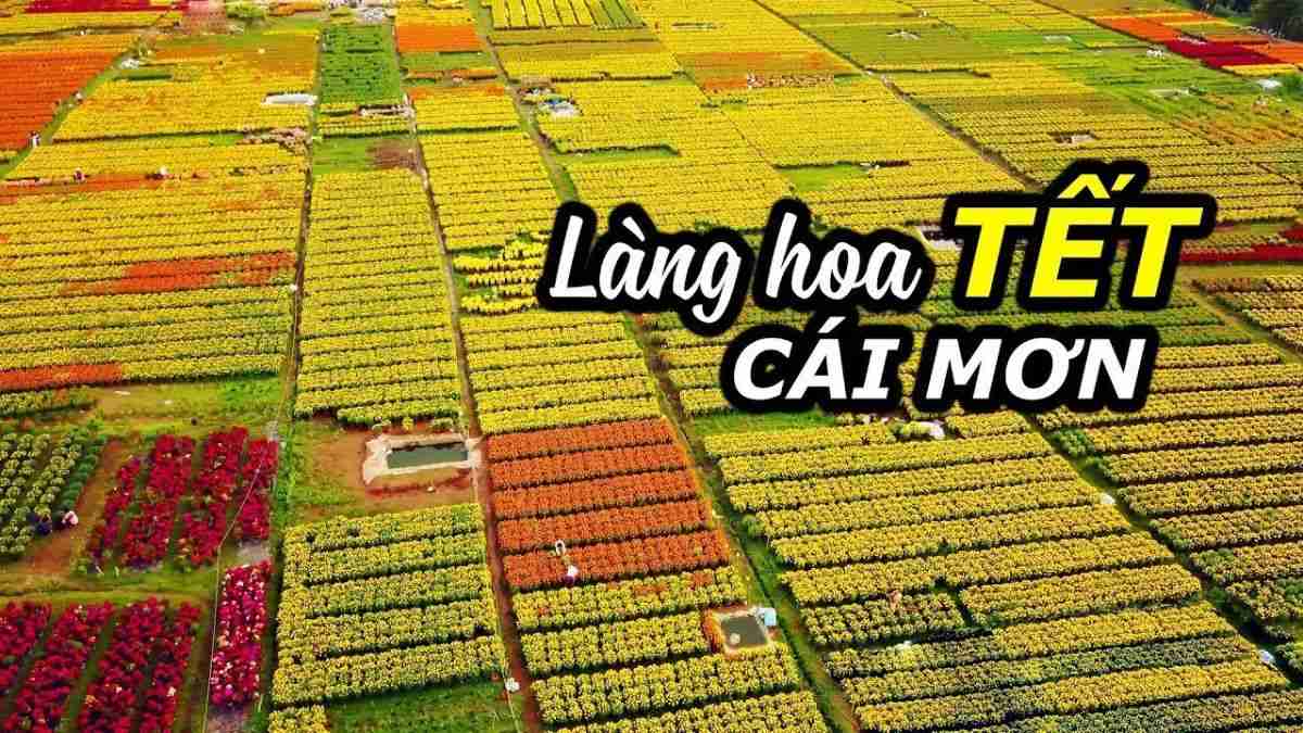 Du lịch tháng 12 tại miền Nam