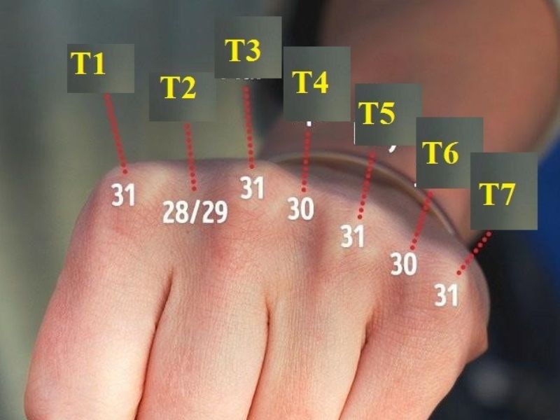 Cách đếm ngày trong tháng bằng tay