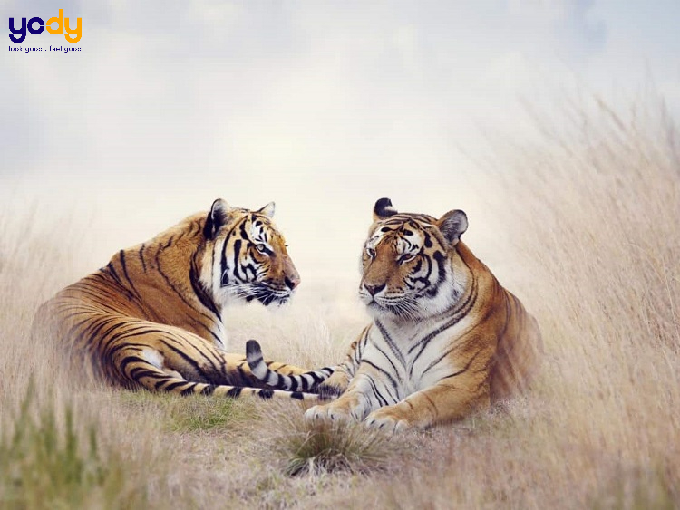 1998 bao nhiêu tuổi