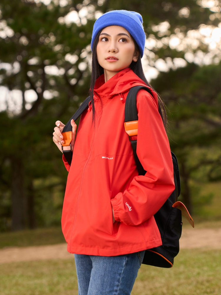 Bính Tuất 2006 hợp màu gì