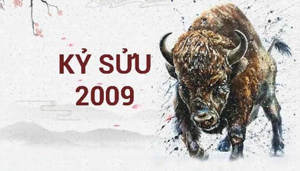 2k9 bao nhiêu tuổi