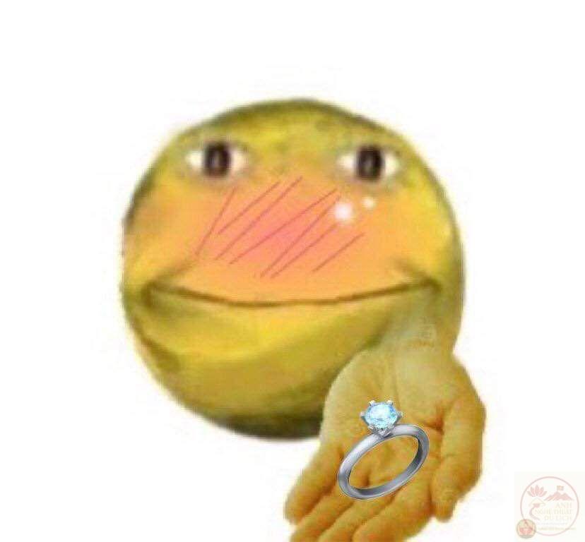 Trò đùa cầu hôn online được yêu thích vì vừa lãng mạn vừa mang màu sắc hài