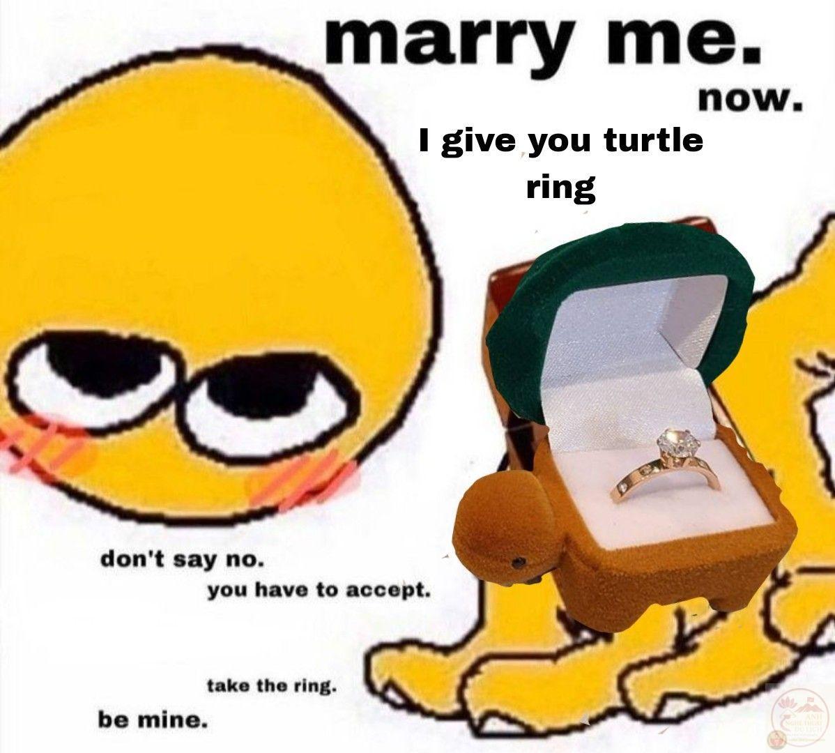 Ảnh chế cầu hôn không chỉ gây cười mà còn thể hiện sự sáng tạo độc đáo