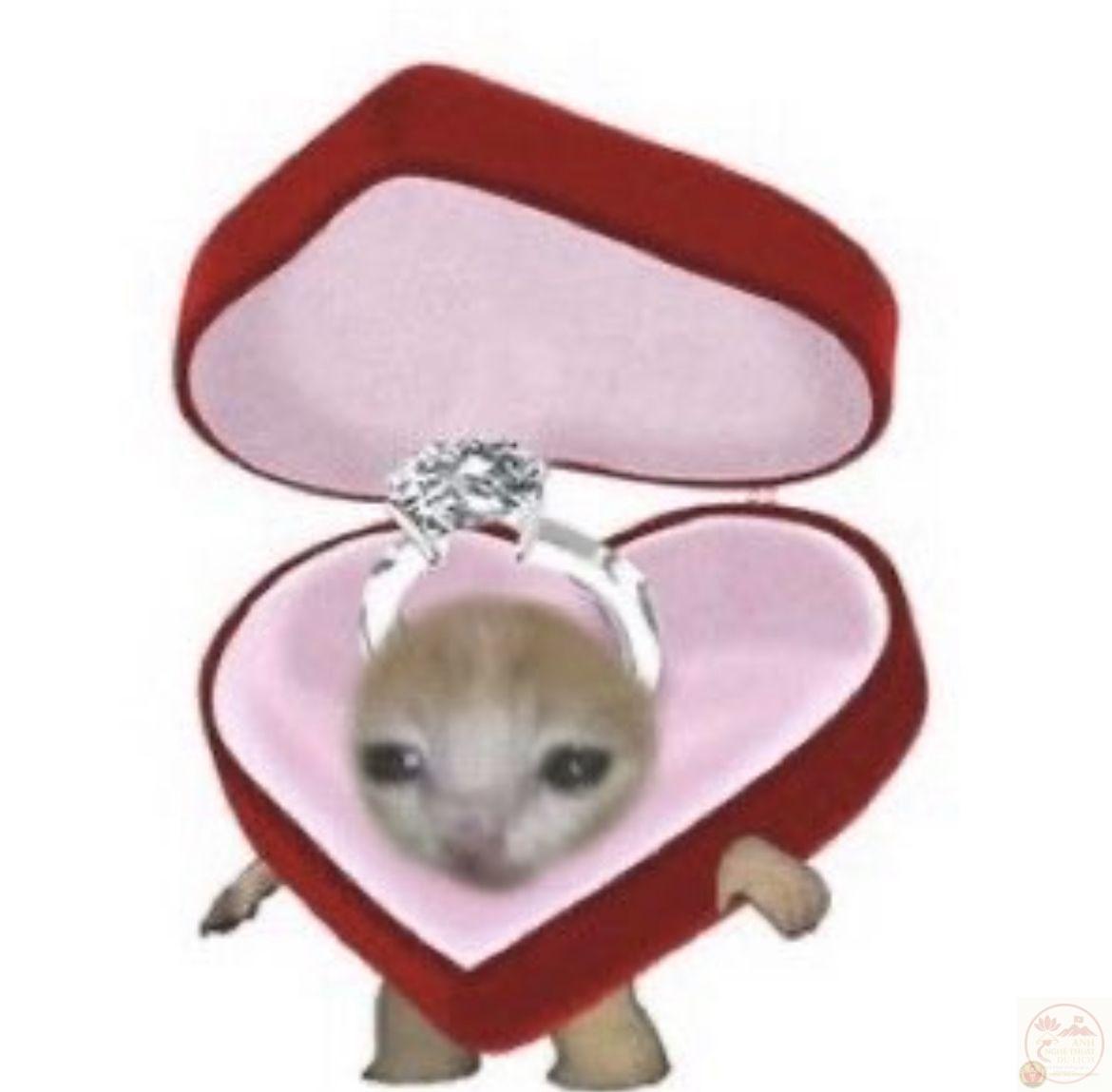 Dân mạng thích thú trước kiểu cầu hôn được chế thành poster đầy sự mặn mòi