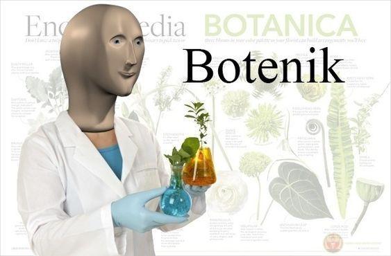 Meme man hài hước luôn khiến người xem bật cười trong các đoạn chat