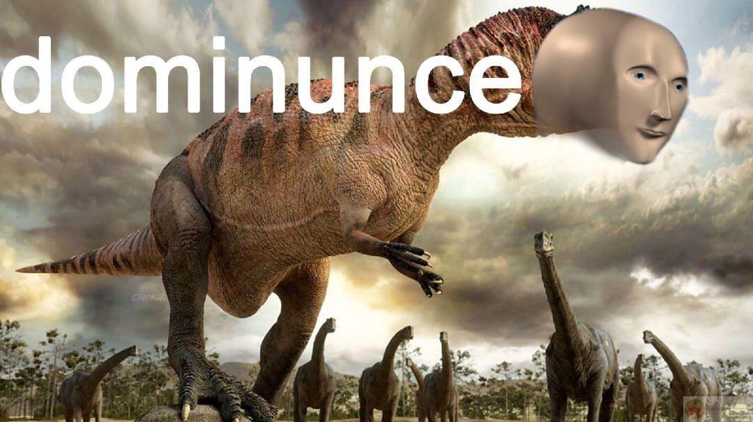 Meme stonks thường khiến người xem bật cười trước sự ngô nghê đáng yêu