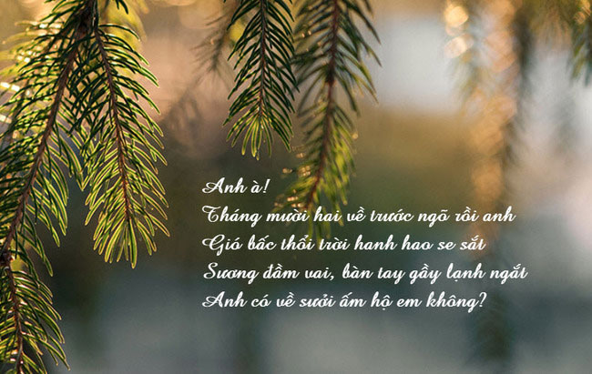 Trái tim mùa đông