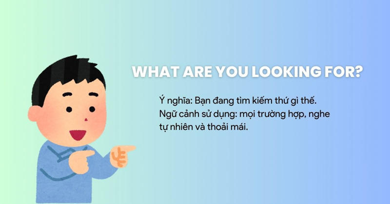 What are you looking for?