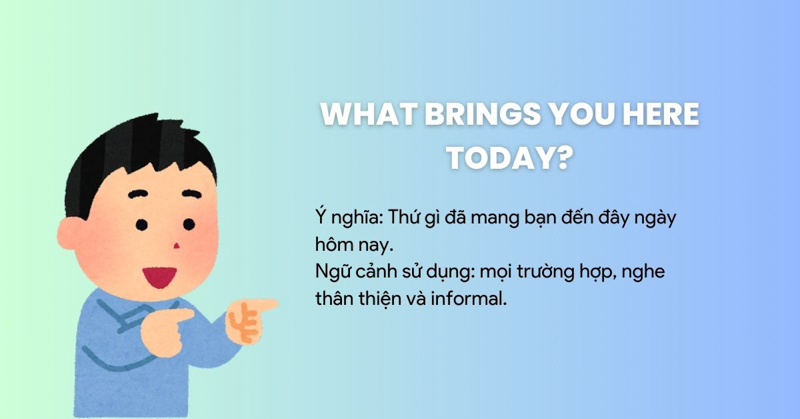 What brings you here today?