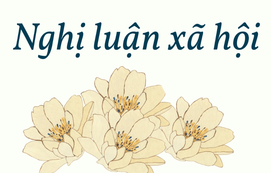 cac buoc viet nghi luan xa hoi
