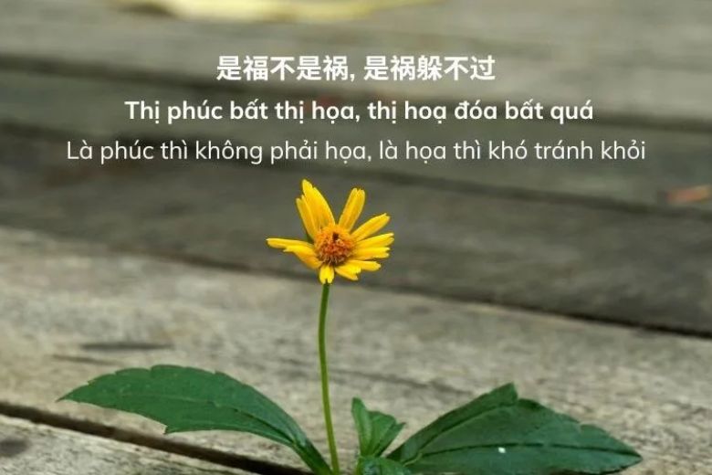 những câu nói hay bất hữu về cuộc sống