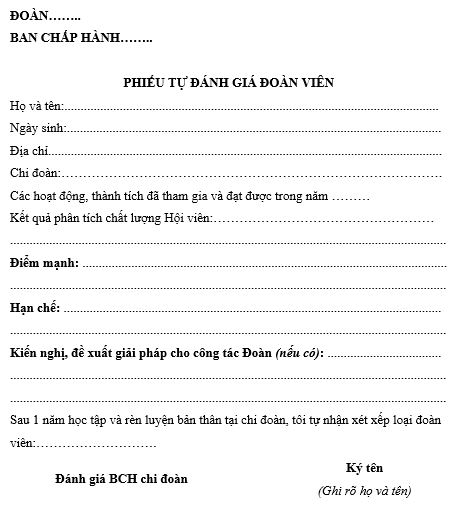 Mau-danh-gia-doan-vien-cuoi-nam.png