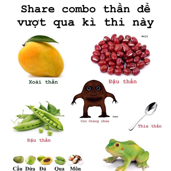 Những cách cầu may mắn trong thi cử hình 3