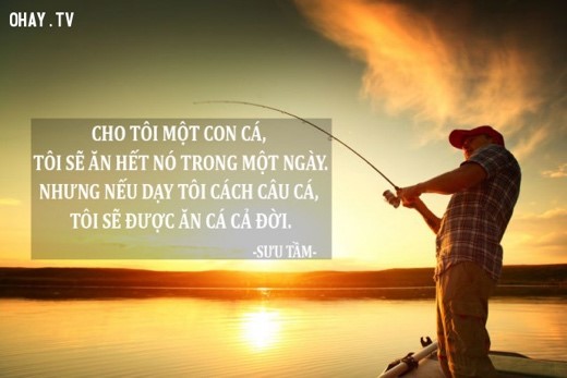 cau noi hay ve giao vien 1