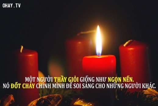 cau noi hay ve giao vien