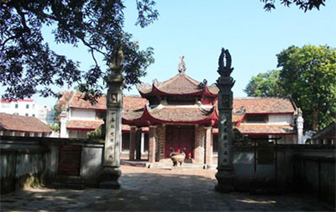 cay da co ma khong 1