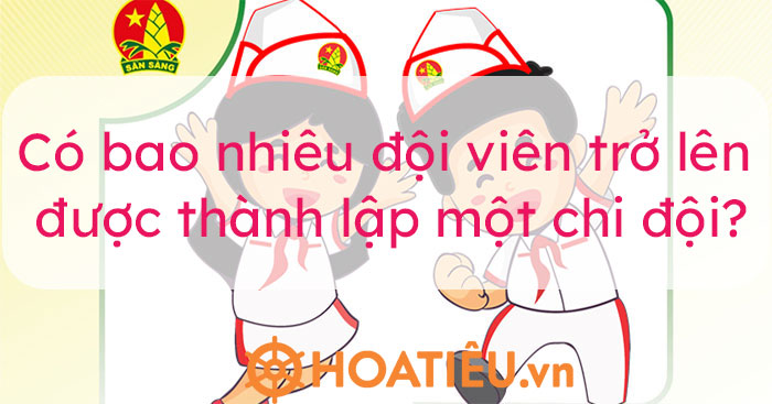 Hình ảnh minh họa đội viên Đội TNTP Hồ Chí Minh.