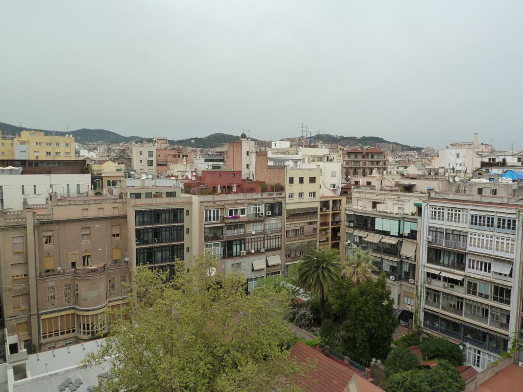 ching chong la gi 20