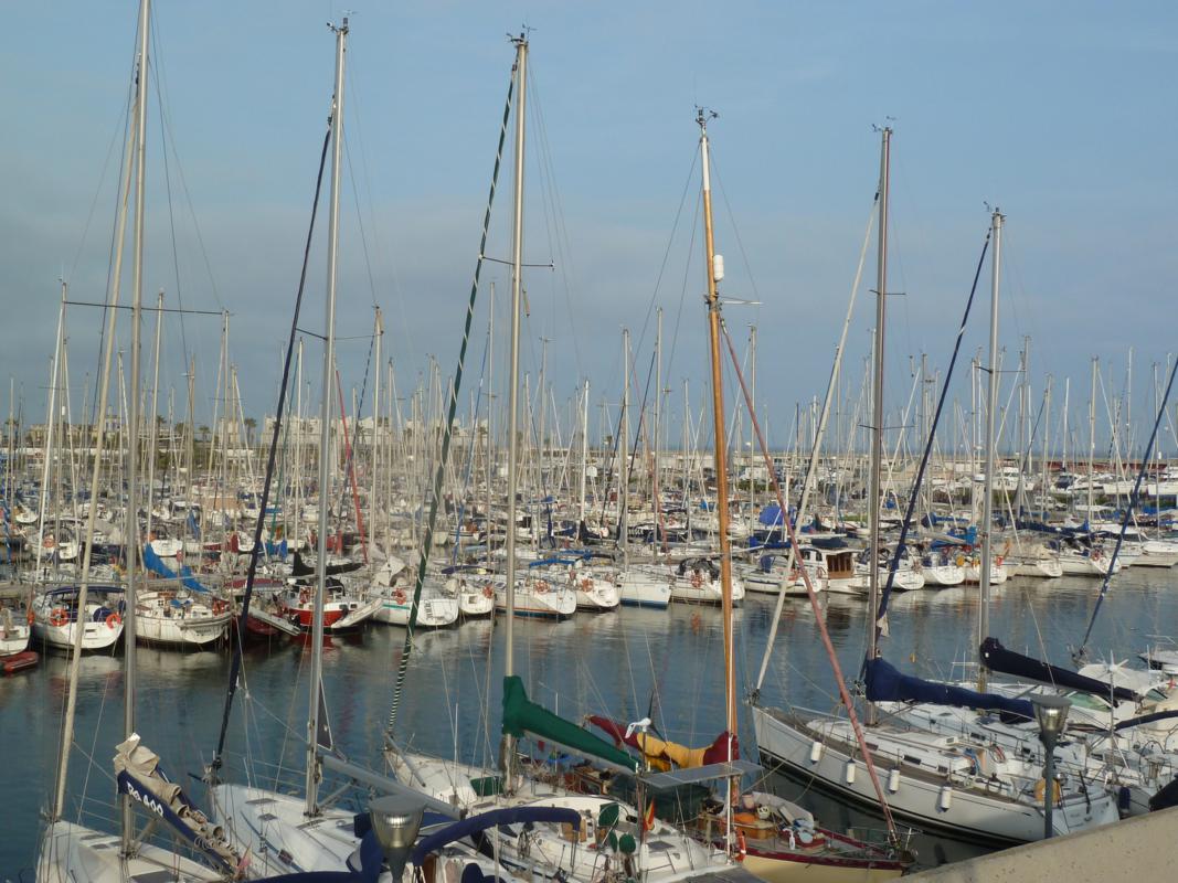 ching chong la gi 22