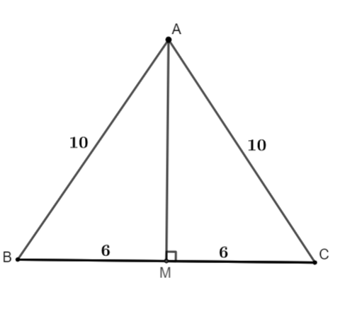 AG = 4x + 6,AM = 9x