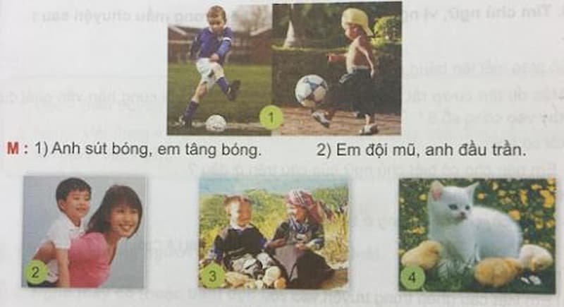 dac diem cua cau ghep 6