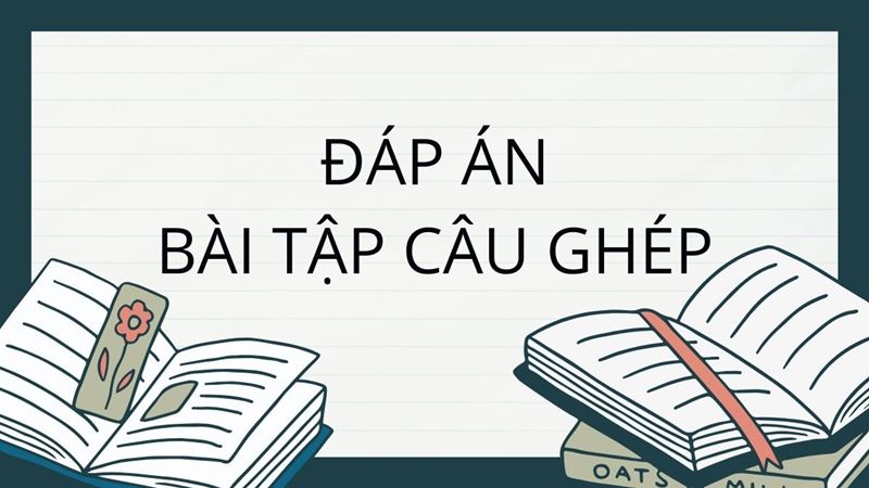 Đáp án bài tập câu ghép trong tiếng Việt. (Ảnh: Canva)