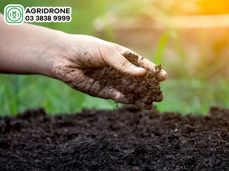 dat trong gom may thanh phan chinh 1