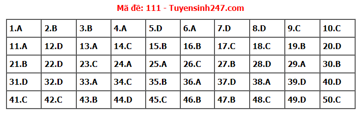 Đề thi tốt nghiệp THPT năm 2022 môn Toán và gợi ý giải đề