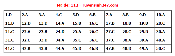 Đề thi tốt nghiệp THPT năm 2022 môn Toán và gợi ý giải đề