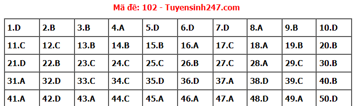 Đề thi tốt nghiệp THPT năm 2022 môn Toán và gợi ý giải đề